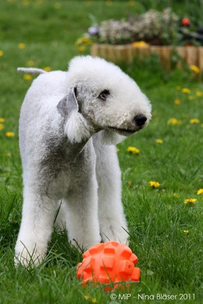 2011-04-23 Quincy etc (42).jpg